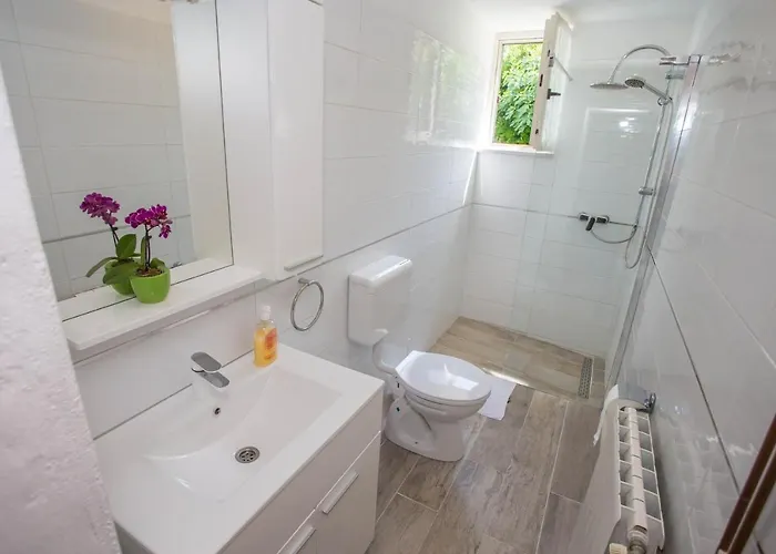 Family Friendly House With A Swimming Pool Basarinka, - 14663 Porec