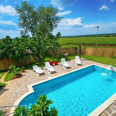 Family Friendly House With A Swimming Pool Basarinka, - 14663