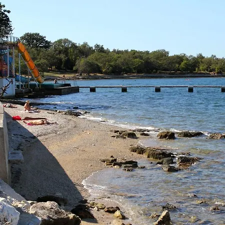 Family Friendly House With A Swimming Pool Basarinka, - 14663 Holiday home