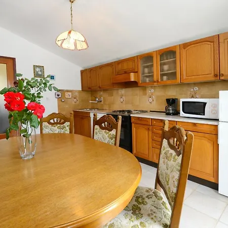 Tatil Evi Family Friendly House With A Swimming Pool Basarinka, - 14663